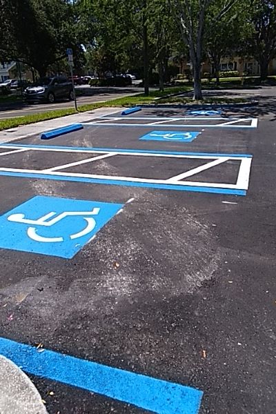 City of Dunedin Library