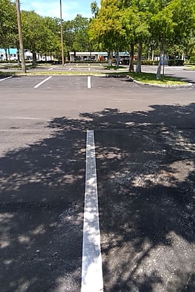 City of Dunedin Library