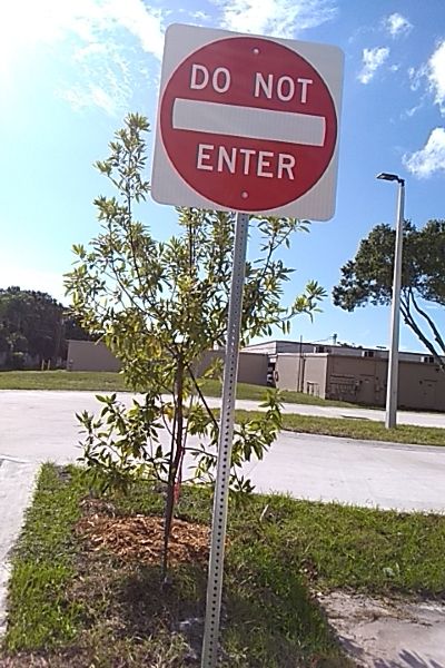 Tommy's Car Wash Sarasota