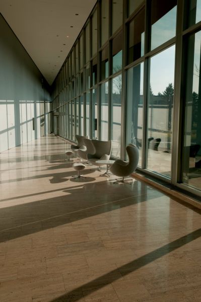 Commercial Window Film