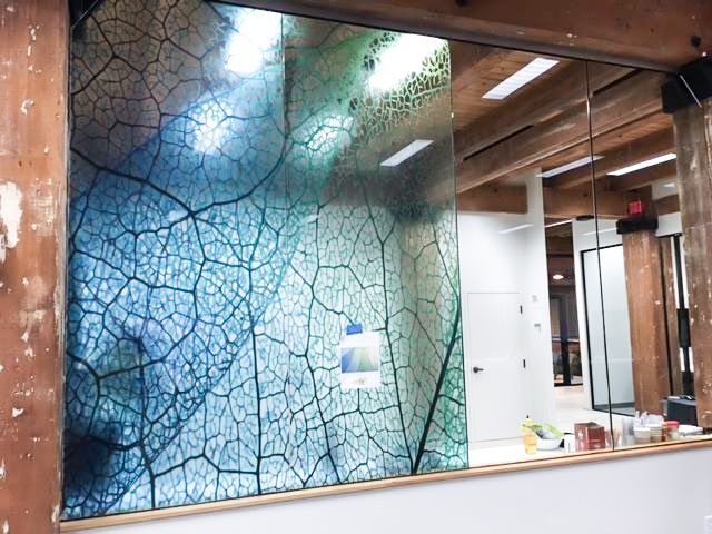 Decorative Window Film
