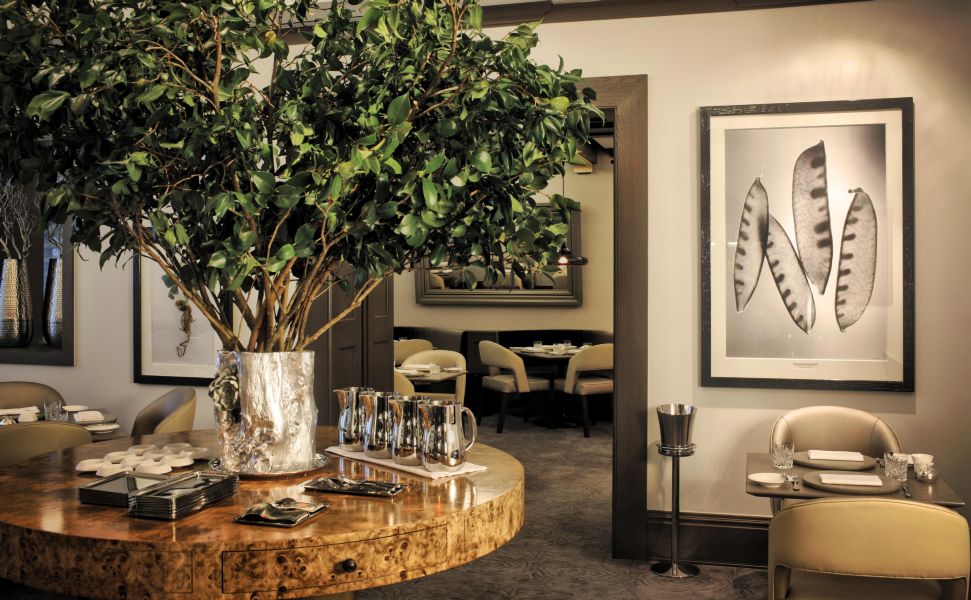 Commercial Project 11