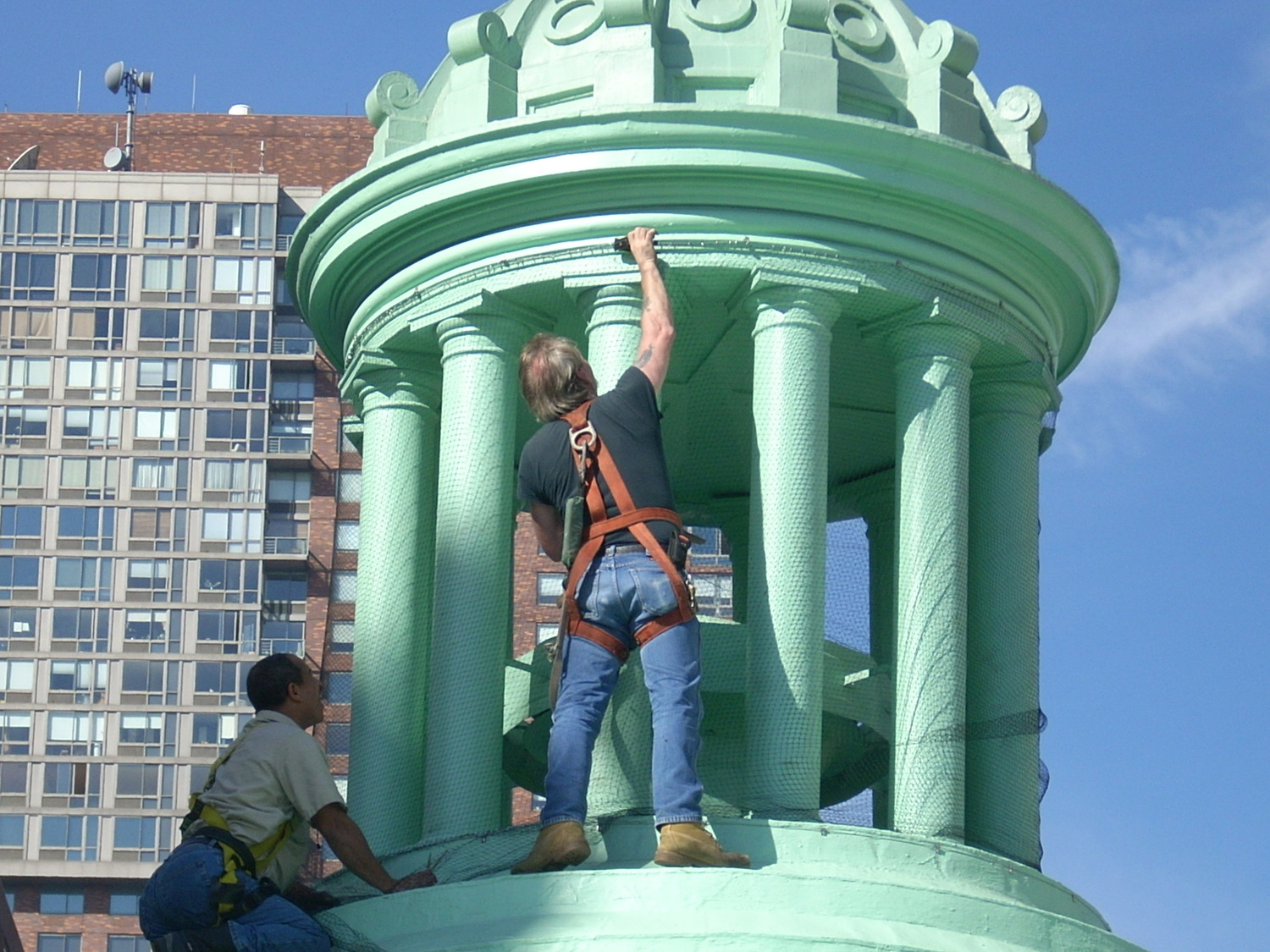 Bird Netting Project