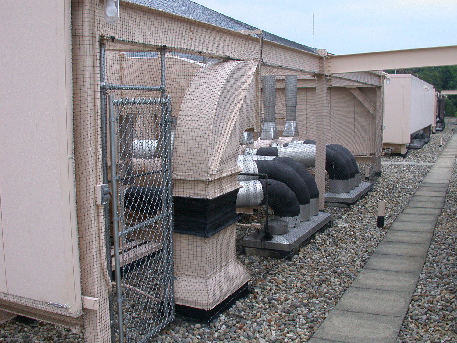 Bird Netting Project