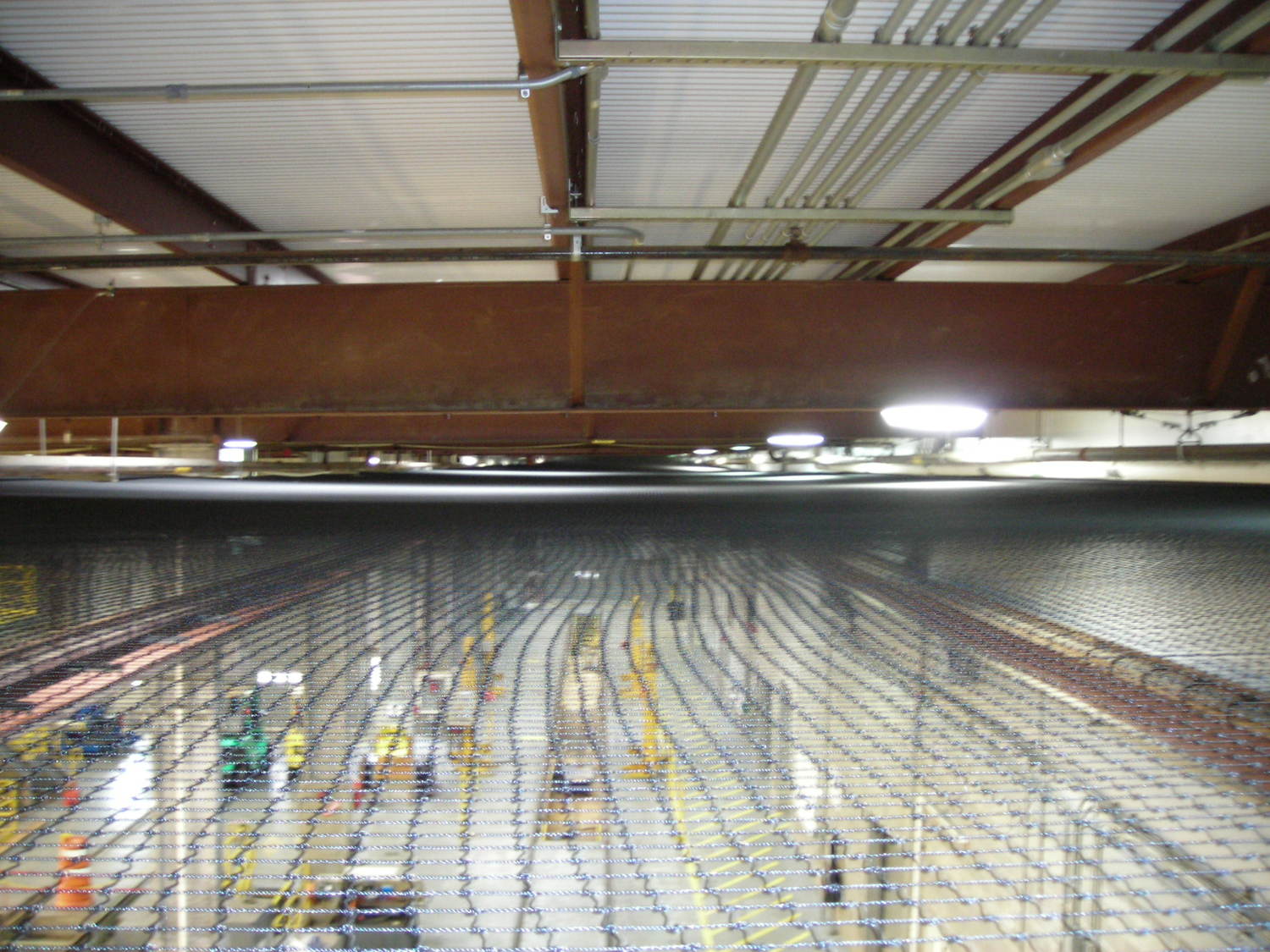 Bird Netting Projects