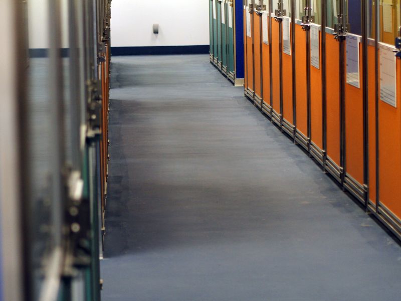 Every Dog Has Its Daycare