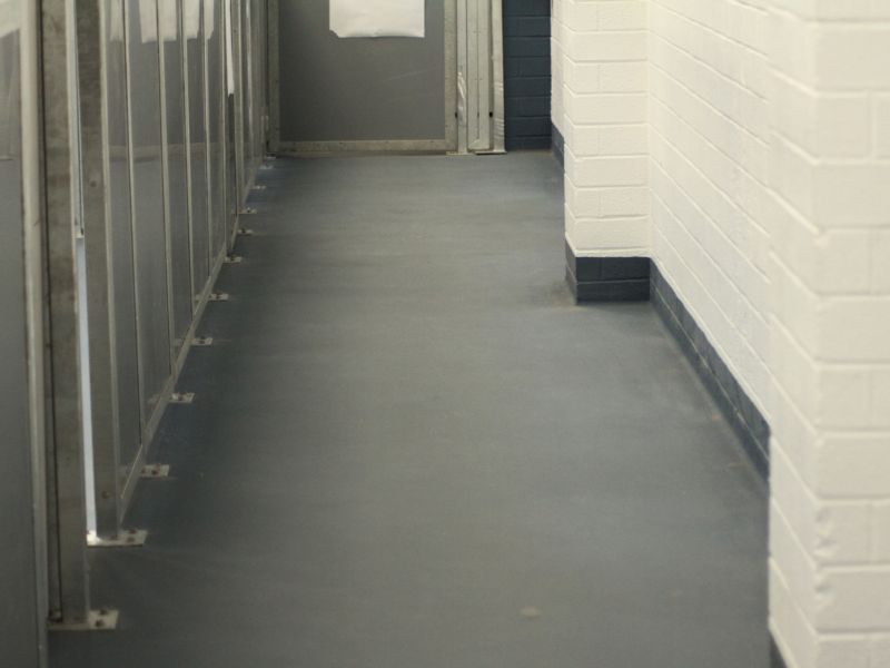 Every Dog Has Its Daycare