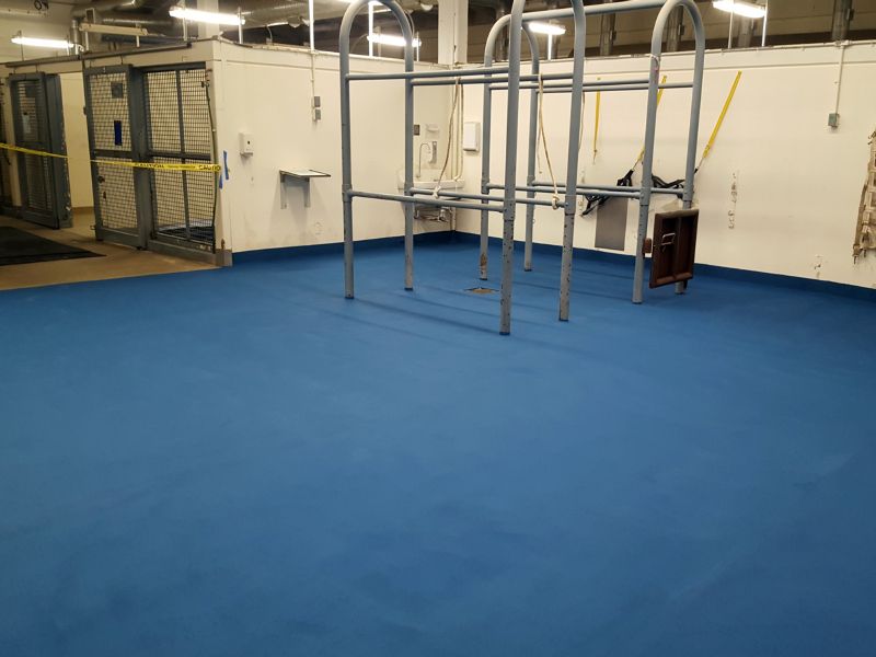 University of Illinois