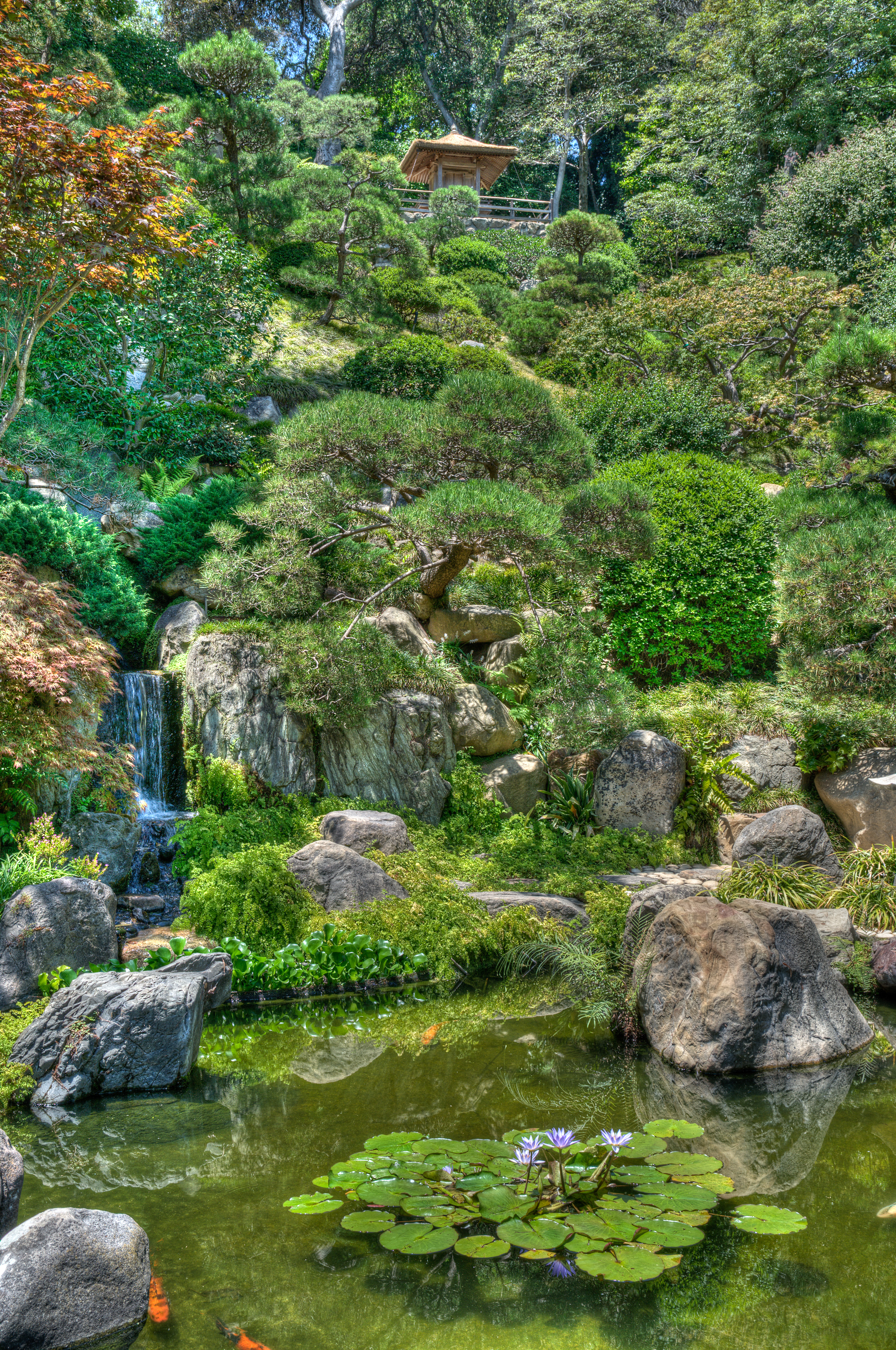 Hanna Carter Japanese Garden