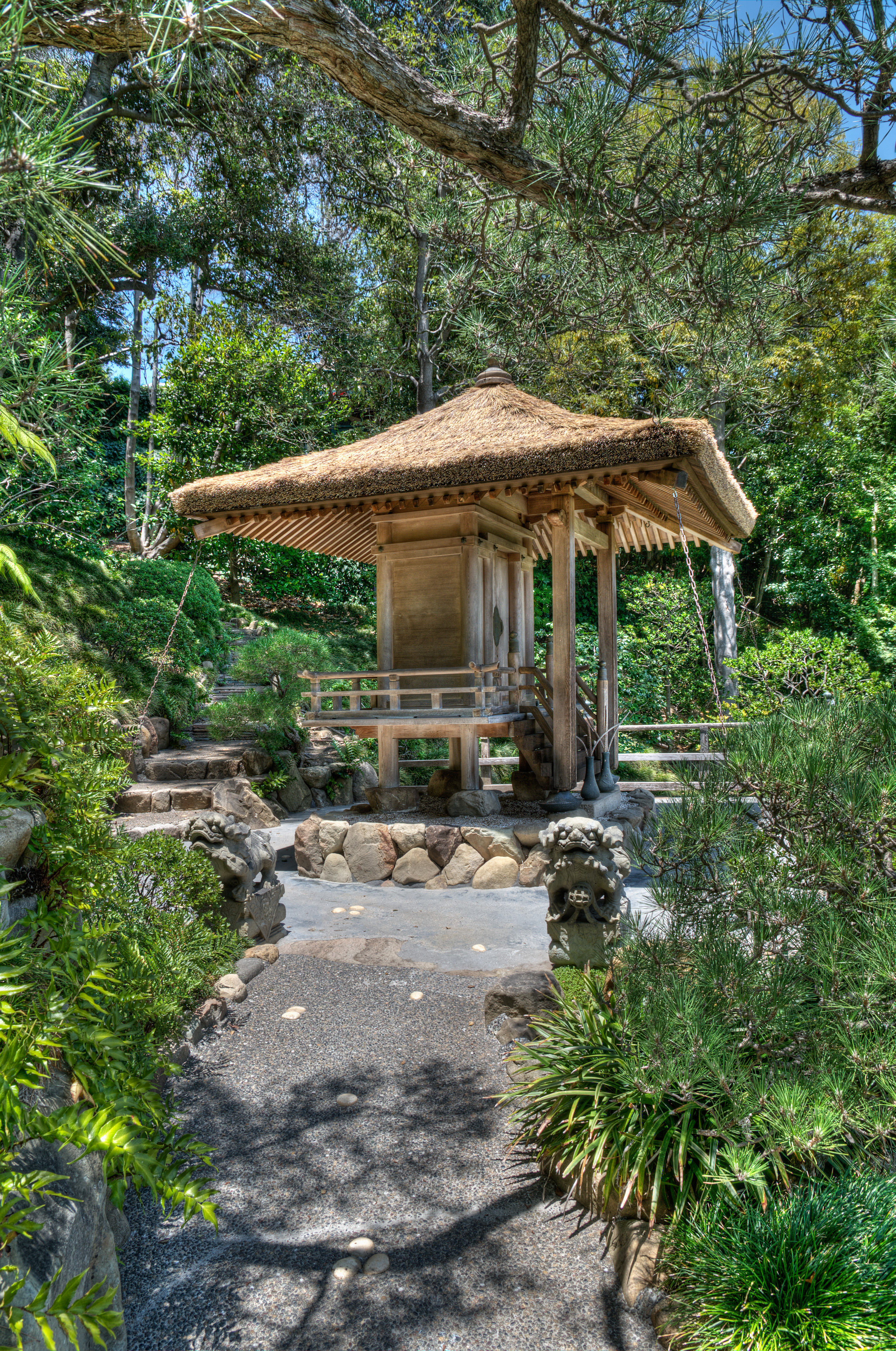Hanna Carter Japanese Garden