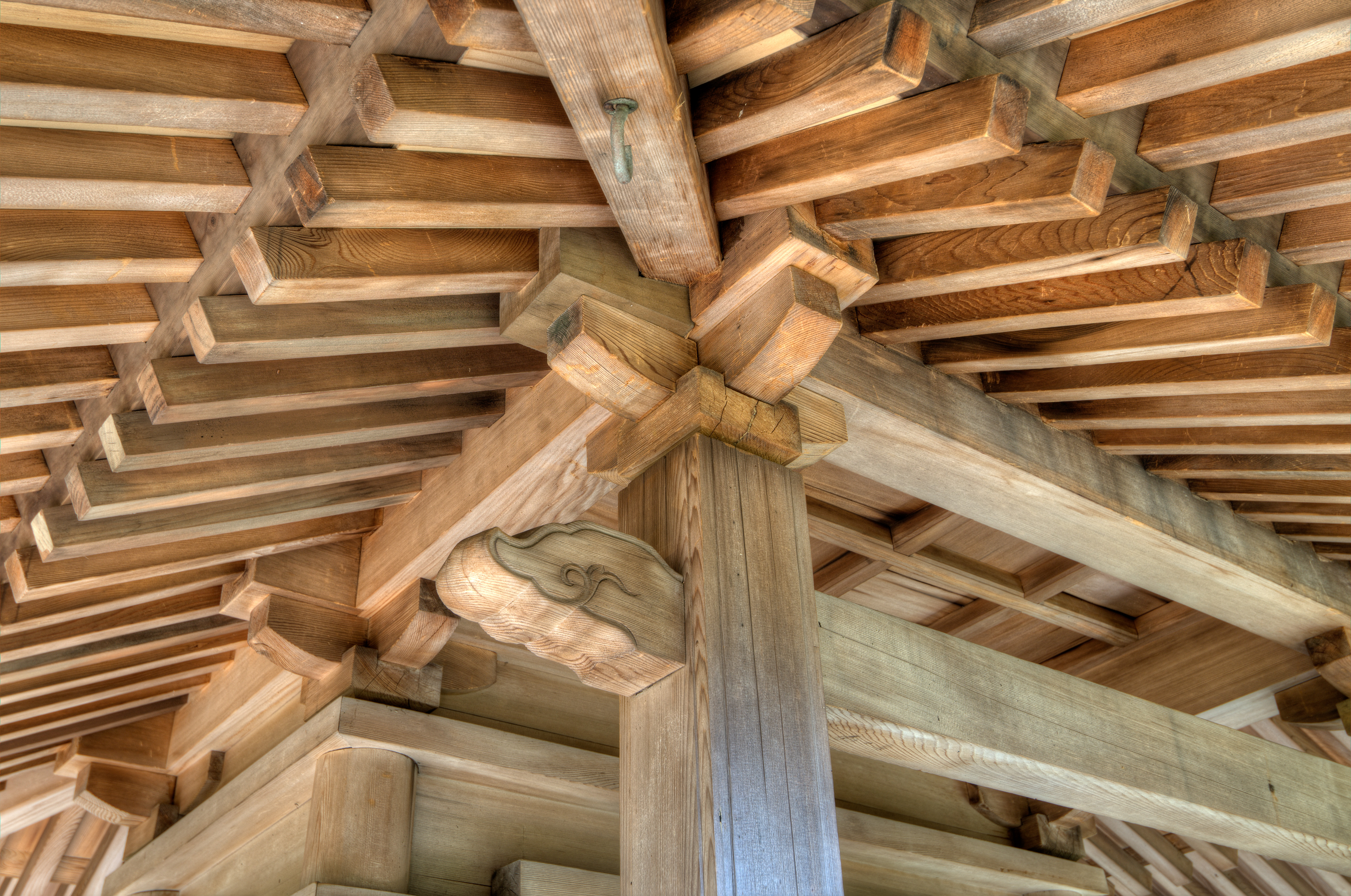 Hanna Carter Japanese Garden