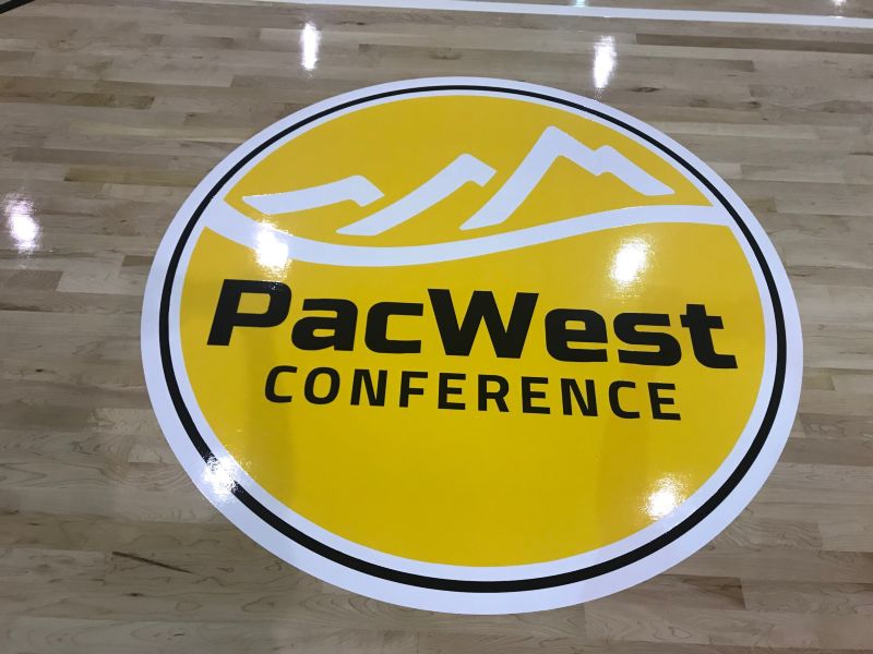 College / University