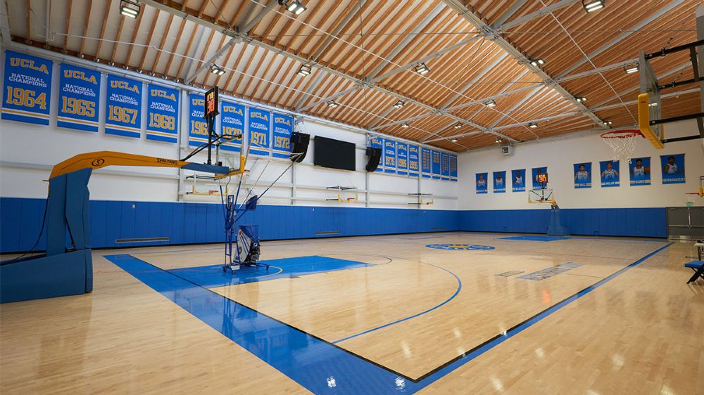 College / University