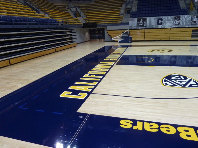 College / University