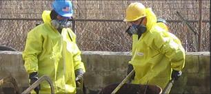 Environmental Services 