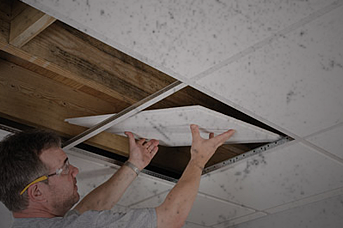 T. Gomes Construction, L.L.C.