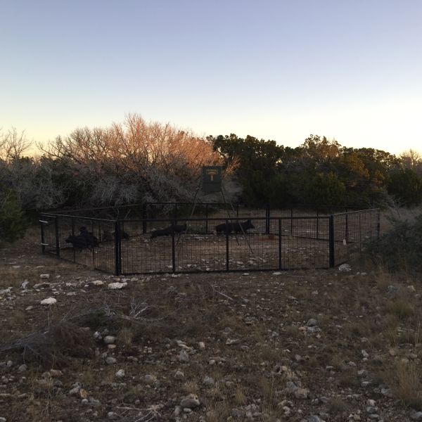 Plasma Art & Custom Work