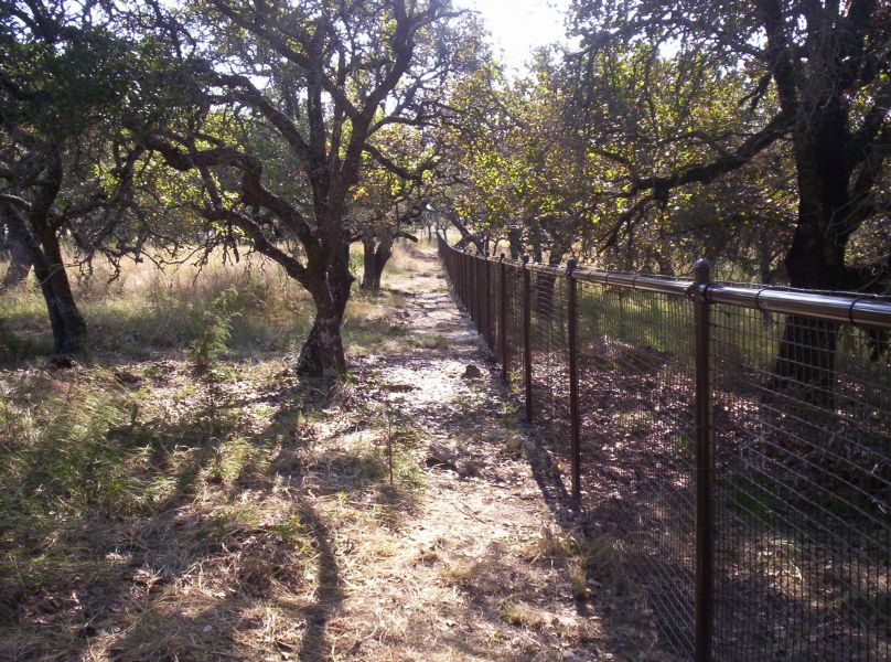 Ranch Fencing