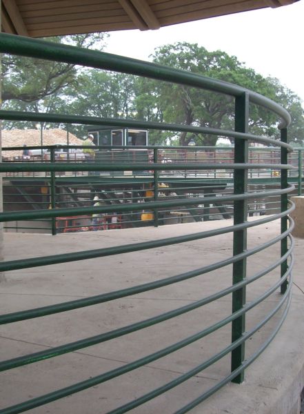 Staircases & Railings