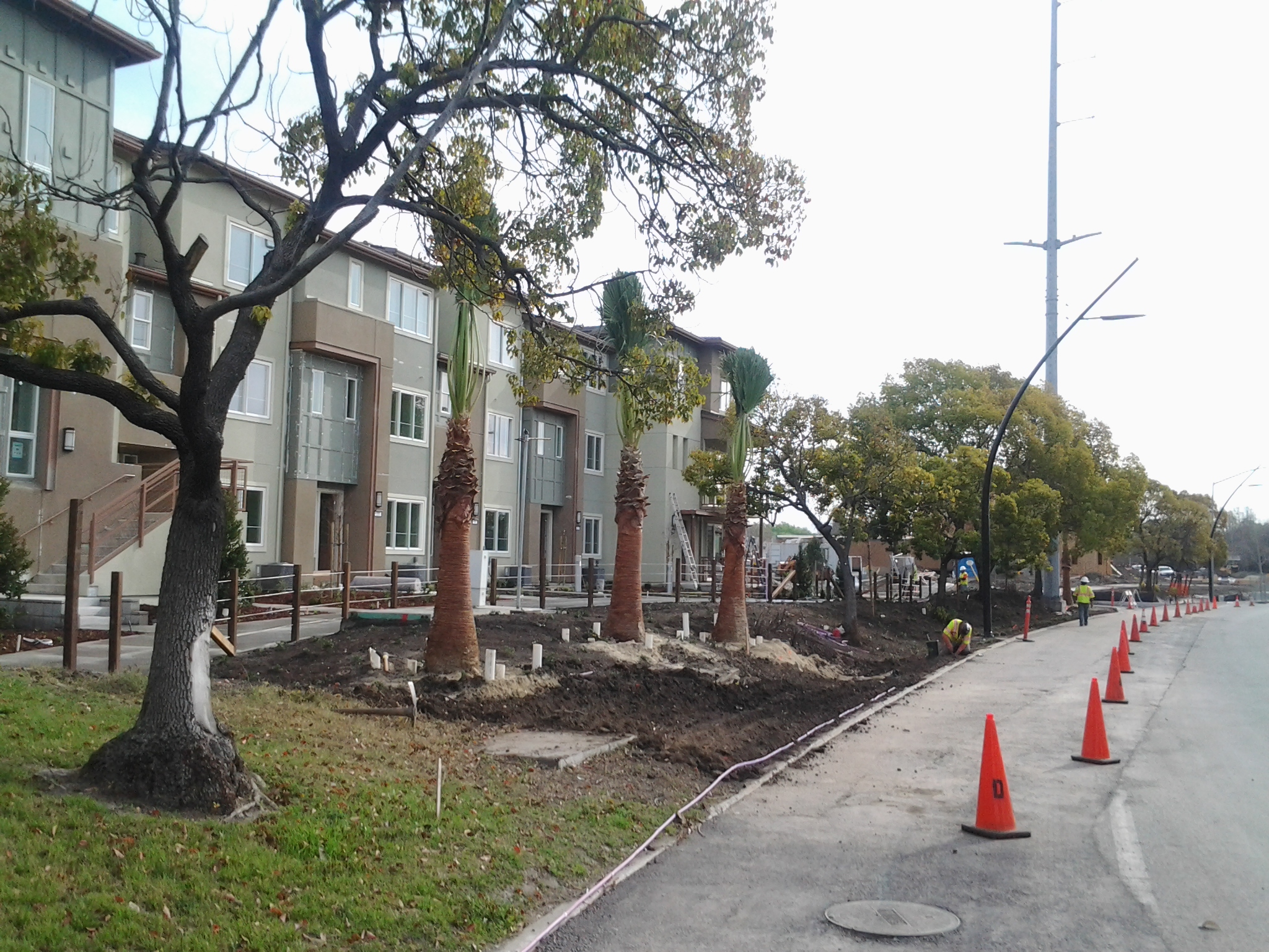 Apex Construction Janitorial Services San Jose, California ProView