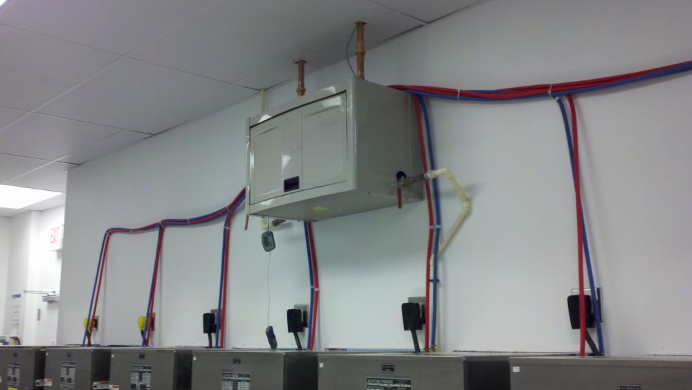 Bad Frog Frozen Yogart