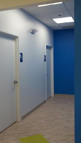 Bad Frog Frozen Yogart