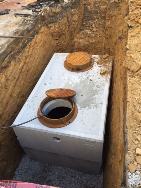 Holler & Dash - Homewood, Alabama