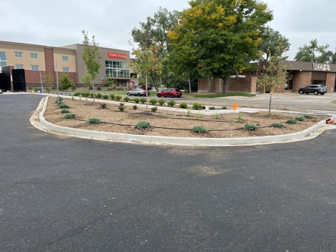 Christian Brothers Auto- Arvada, Colorado