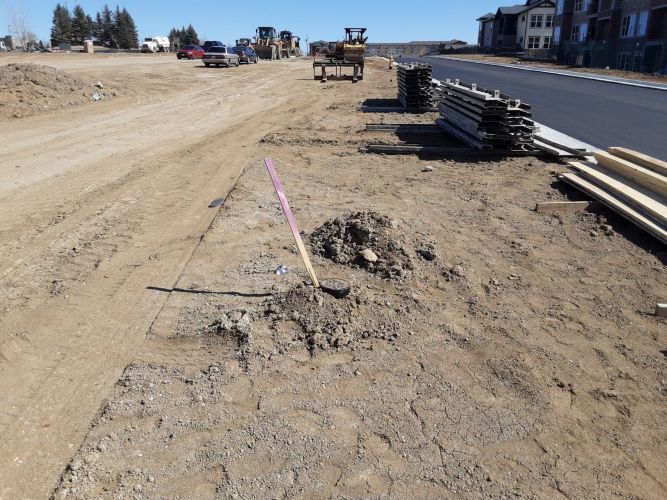 Christian Brothers Auto- Aurora, Colorado