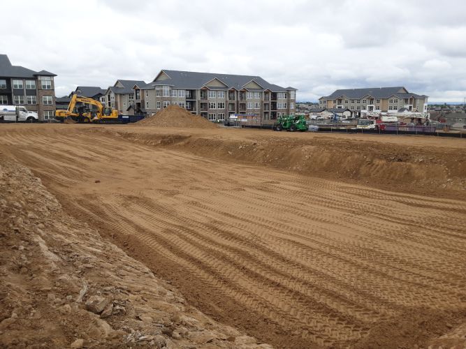 Christian Brothers Auto- Aurora, Colorado