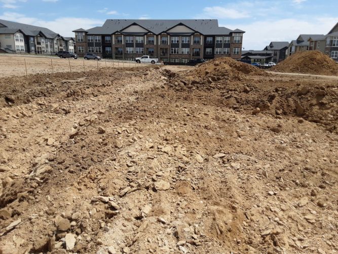 Christian Brothers Auto- Aurora, Colorado