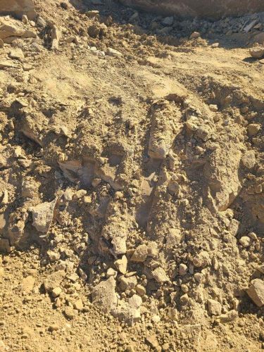 Christian Brothers Auto- Aurora, Colorado