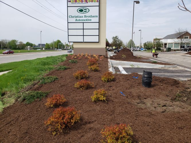 Christian Brothers Auto - Bolingbrook, Illinois