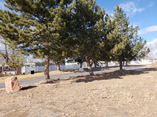 Christian Brothers Auto - Broomfield, Colorado