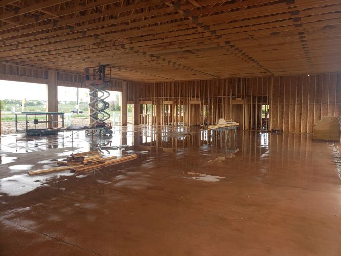 Christian Brothers Auto - Broomfield, Colorado