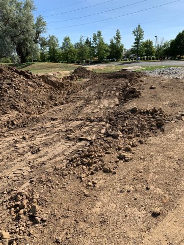 Christian Brothers Auto - Broomfield, Colorado