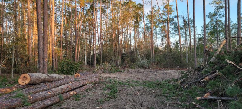Christian Brothers Auto - Covington, Louisiana