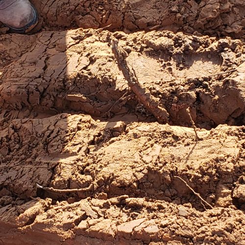 Christian Brothers Auto - Edmond, Oklahoma