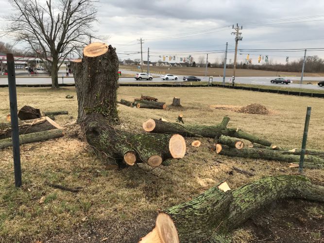 Christian Brothers Auto - Greenwood, Indiana