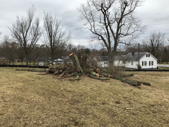 Christian Brothers Auto - Greenwood, Indiana
