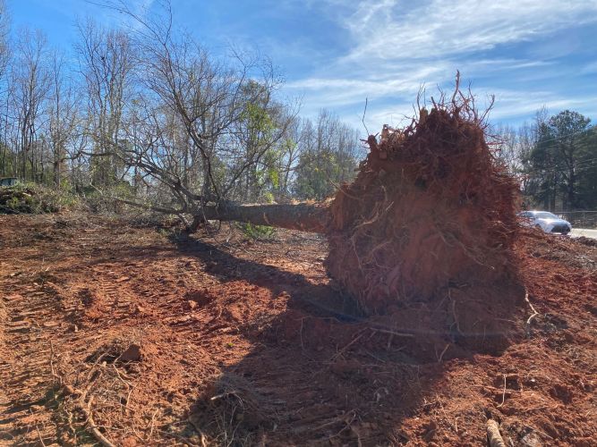 Christian Brothers Auto - Irmo, South Carolina