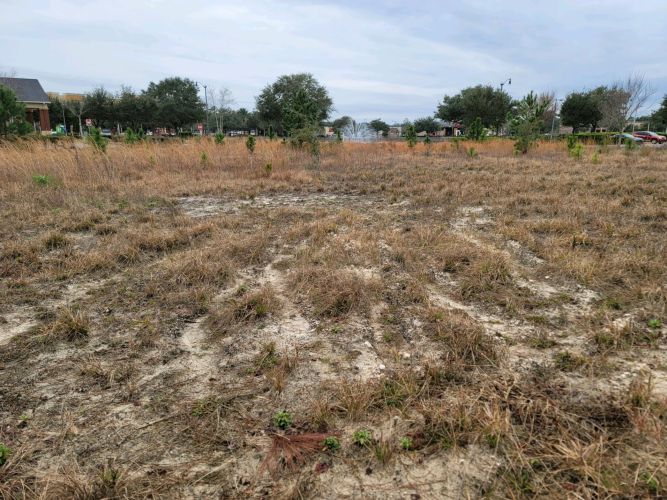 Christian Brothers Auto - Jacksonville, FL