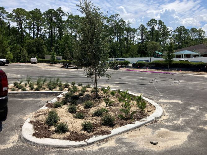 Christian Brothers Auto - Jacksonville, FL