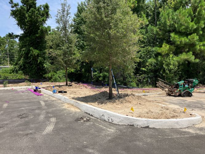 Christian Brothers Auto - Jacksonville, FL