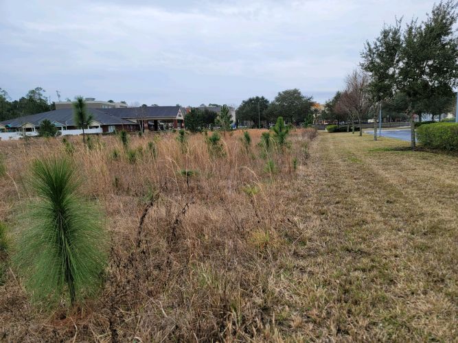 Christian Brothers Auto - Jacksonville, FL