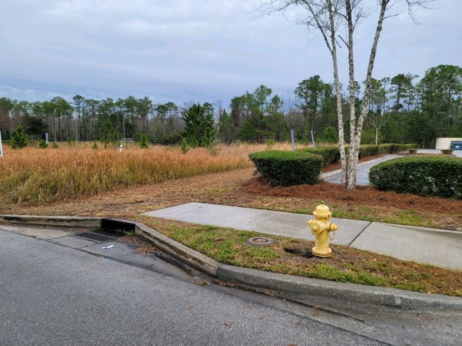 Christian Brothers Auto - Jacksonville, FL