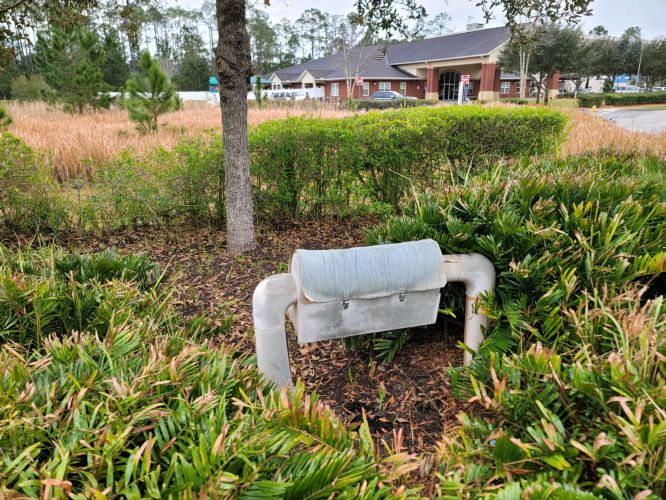 Christian Brothers Auto - Jacksonville, FL