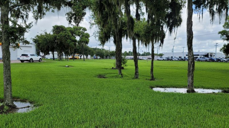 Christian Brothers Auto- Lake Jackson, Texas