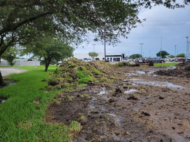 Christian Brothers Auto- Lake Jackson, Texas