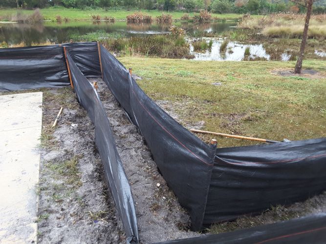 Christian Brothers Auto - Oveido, Florida